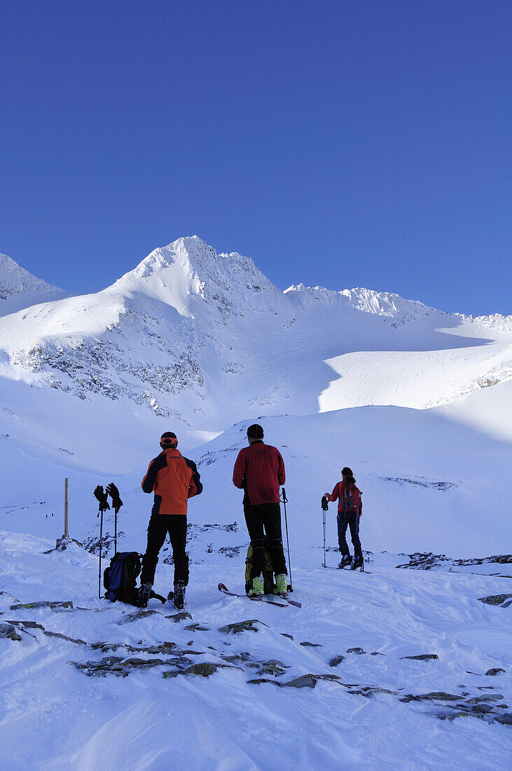 Backcountry skiers ascending Hoher Sonnblick, Hoher Sonnblick, Rauriser Tal valley, Goldberggruppe mountain range, Hohe Tauern mountain  range, Salzburg, Austria