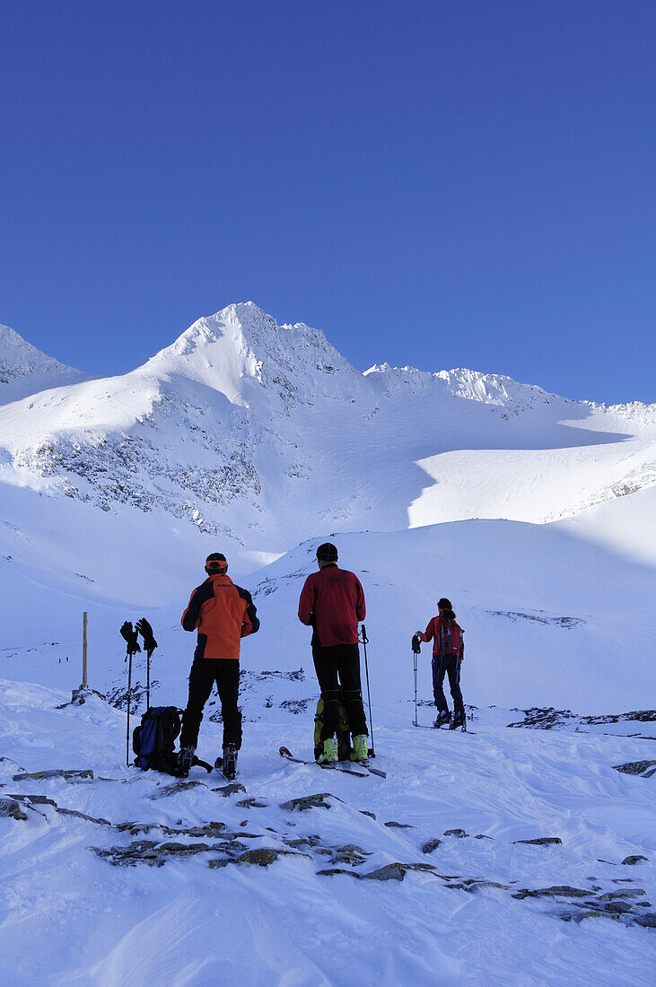 Skitourengeher steigen zum Hohen Sonnblick auf, Hoher Sonnblick, Rauriser Tal, Goldberggruppe, Hohe Tauern, Salzburg, Österreich