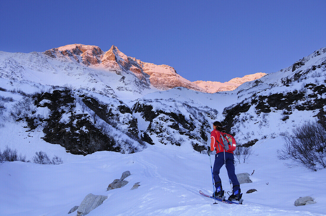Skitourgeherin steigt zum Hocharn auf, Hoher Sonnblick am Morgen im Hintergrund, Raurisertal, Goldberggruppe, Hohe Tauern, Salzburg, Österreich