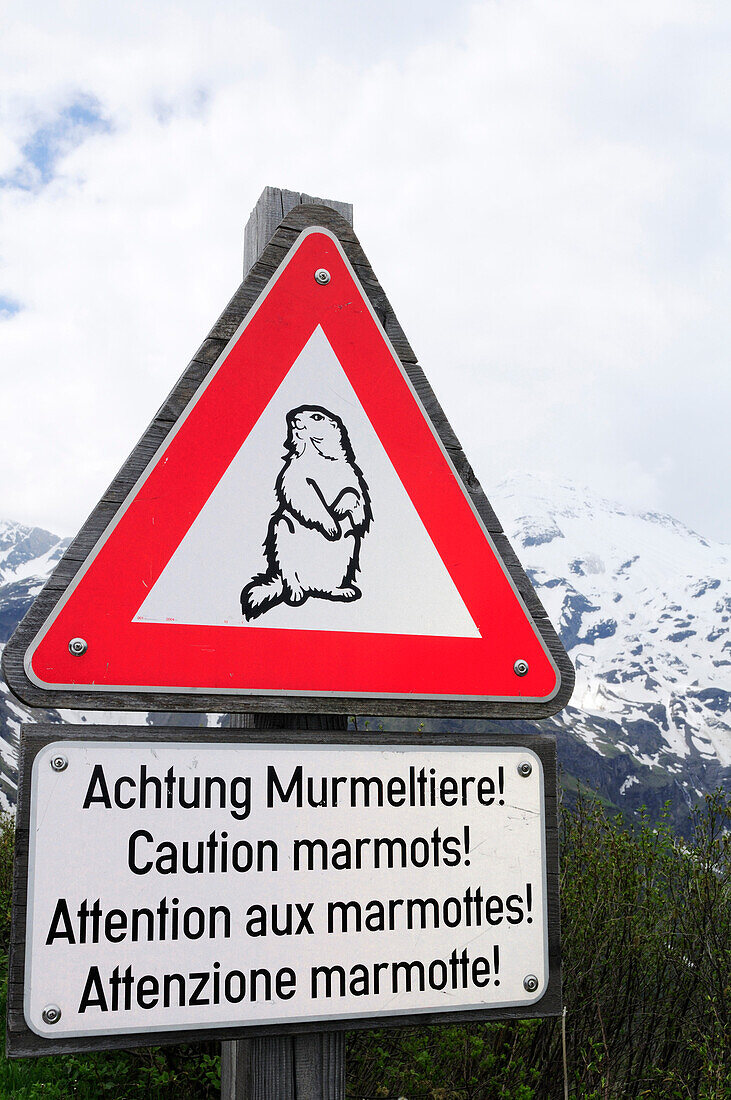 Caution sign for marmots, Grossglockner-Hochalpenstrasse, Grossglockner, Hohe Tauern mountain range, Hohe Tauern National Park, Salzburg, Austria