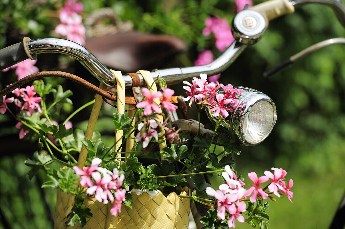 Blumen geschmücktes Fahrrad an Rastplatz, Altmühltal-Radweg, Naturpark Frankenhöhe, Altmühltal, Jochsberg, Bayern, Deutschland