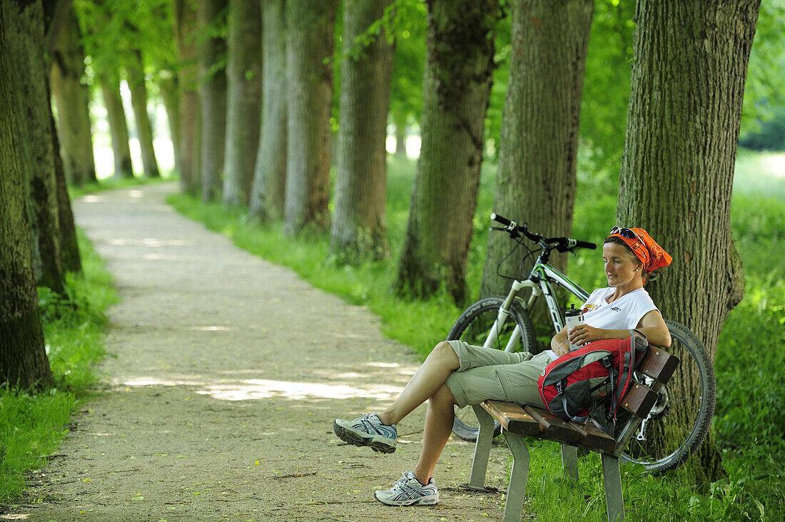Female cyclist resting on bench in lime tree alley, Altmuehltal cycle trail, Altmuehltal natural park, Altmuehltal, Bavaria, Germany