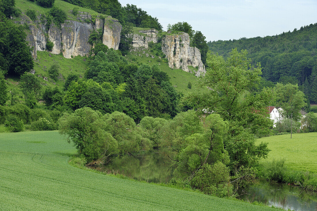Rock formation in Altmuehl valley, Altmuehltal cycle trail, Altmuehl valley nature park, Altmuehl, Bavaria, Germany