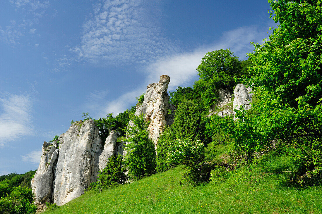 Rock formation, Altmuehltal cycle trail, Altmuehl valley nature park, Altmuehl, Dollnstein, Eichstaett, Bavaria, Germany
