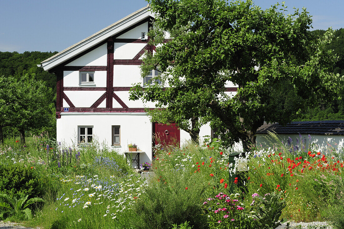 Fachwerkhaus mit Bauerngarten, Altmühltal-Radweg, Naturpark Altmühltal, Altmühltal, Bayern, Deutschland