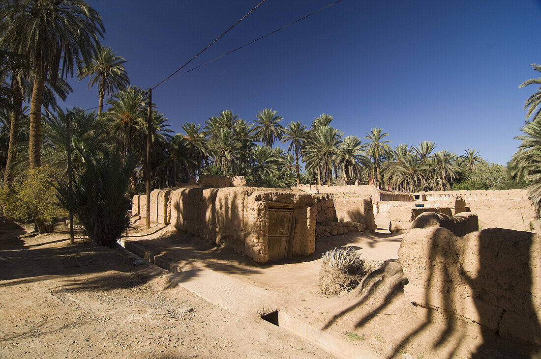 Oasis surrounded by palm trees, Morocco, North Africa, Africa