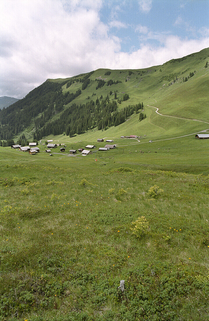 Sommerliche Berglandschaft, Berner Oberland, Schweiz, Alpen, Europa