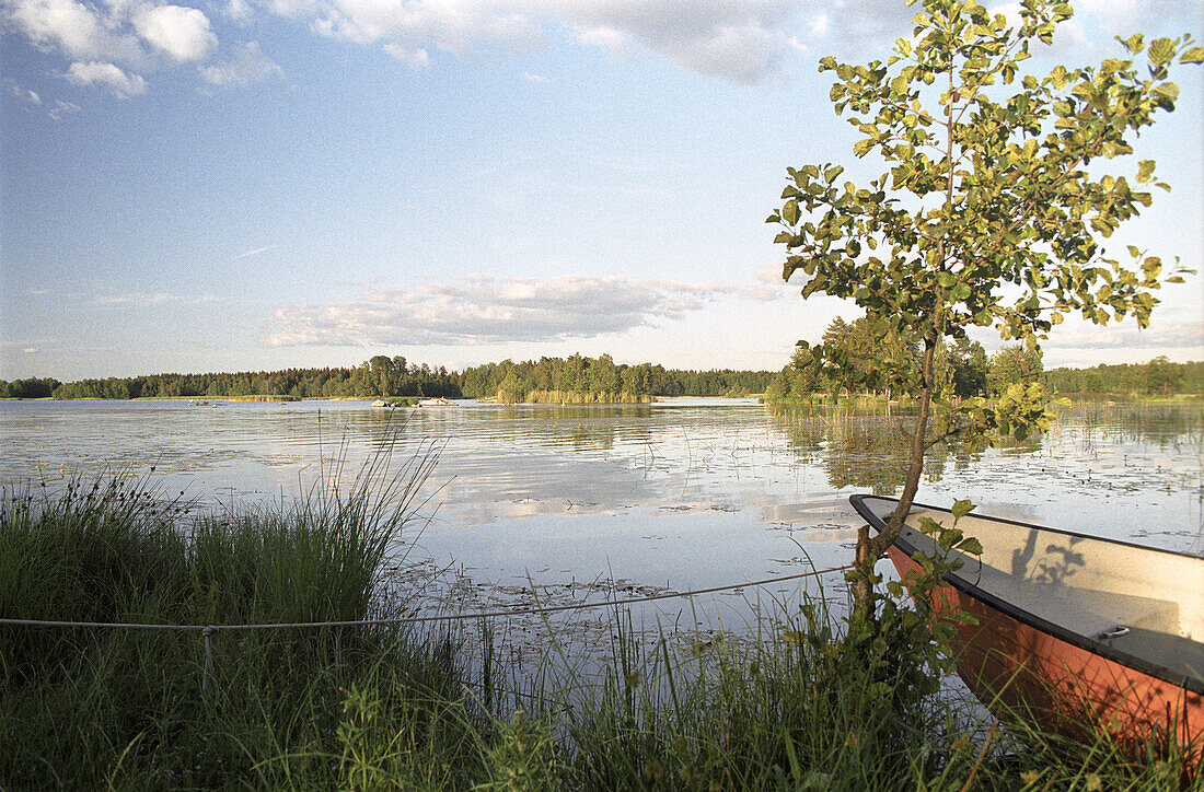 Schwedische Sommerlandschaft mit See, Ruderboot, Smaland, Südschweden, Schweden, Europa