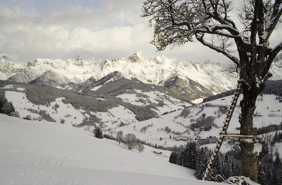 Mountain landscape in Winter, Maria Alm, Salzburger Land, Austria, Alps, Europe