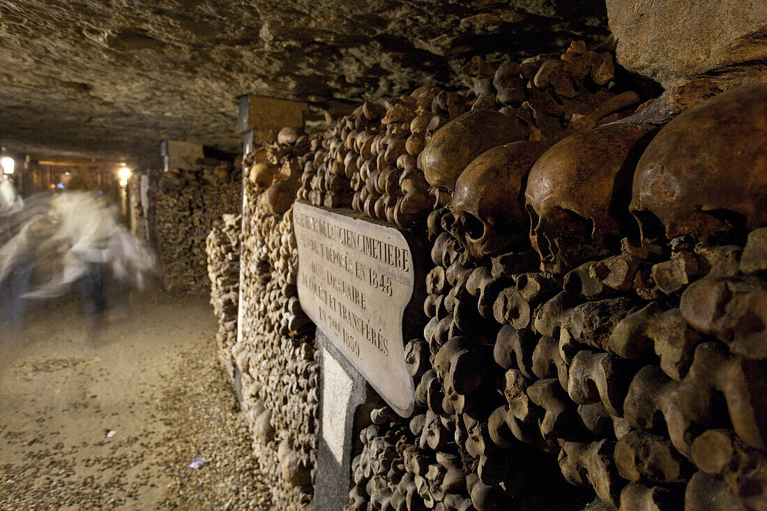 Schädel und Knochen in den Katakomben von Paris, Les Catacombes de Paris, Paris, Frankreich, Europa