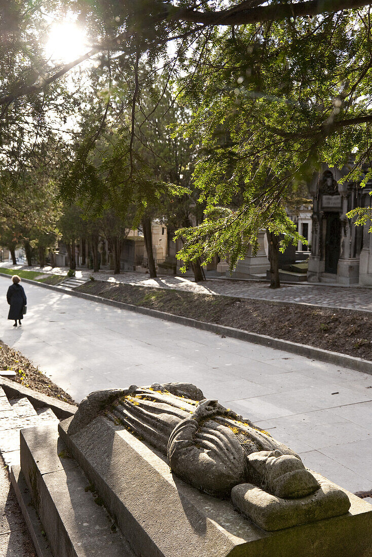 Grave and trees at cemetery Père Lachaise, Paris, France, Europe