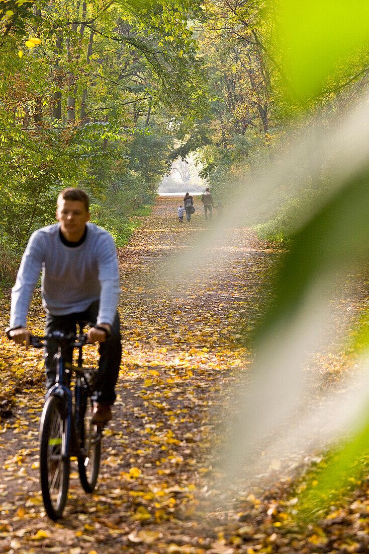 Fahrradfahrer im Herbstwald, Rosental, Leipzig, Sachsen, Deutschland