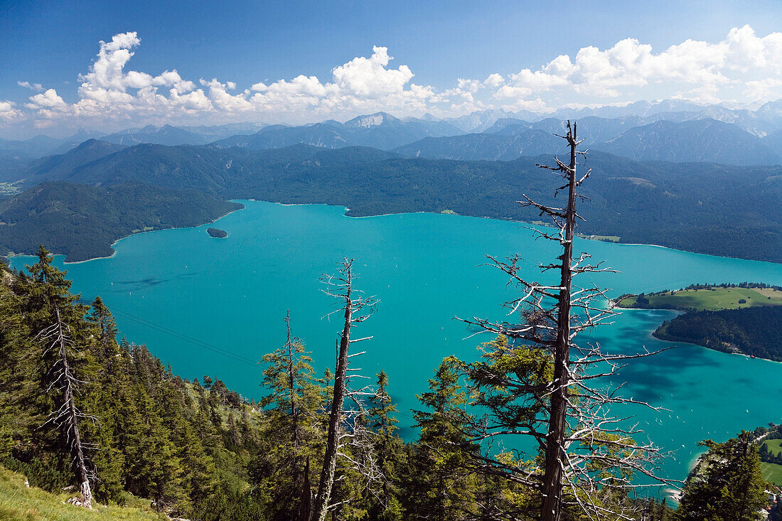 Blick vom Herzogstand über den Walchensee, Oberbayern, Bayern, Deutschland