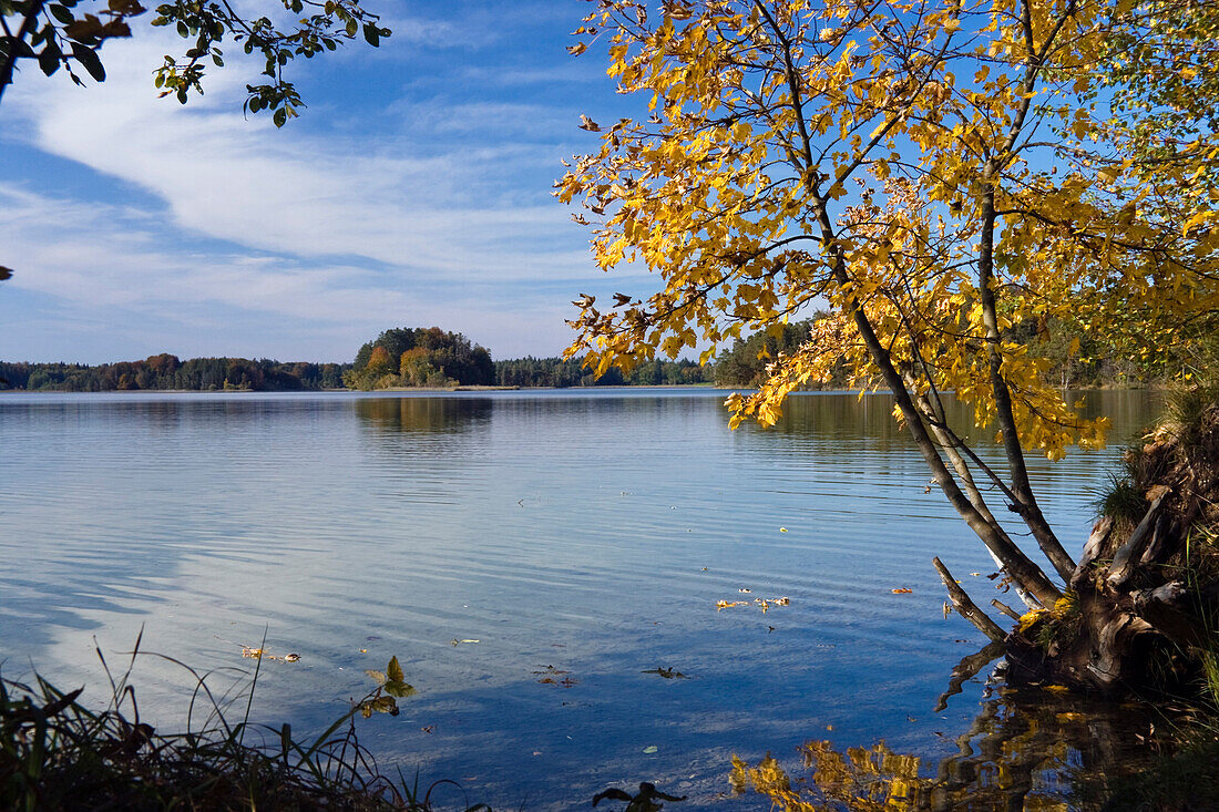 Autumn scenery, Grosser Ostersee, Upper Bavaria, Germany