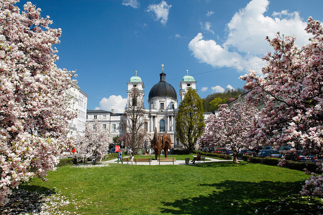 Holy Trinity Church and flowering magnolias, old town, Salzburg, Austria