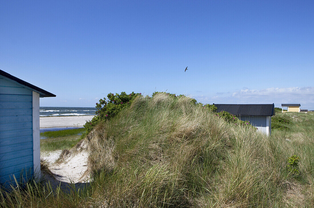 little beach huts at Skanör beach, Skanör, Skane, South Sweden, Sweden