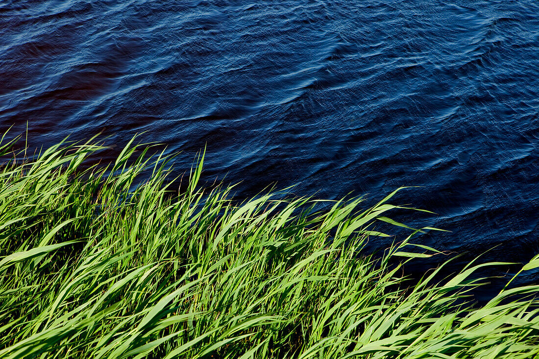 Lake on Falsterbo golf court, Falsterbo, Skanör, Skane, South Sweden, Sweden