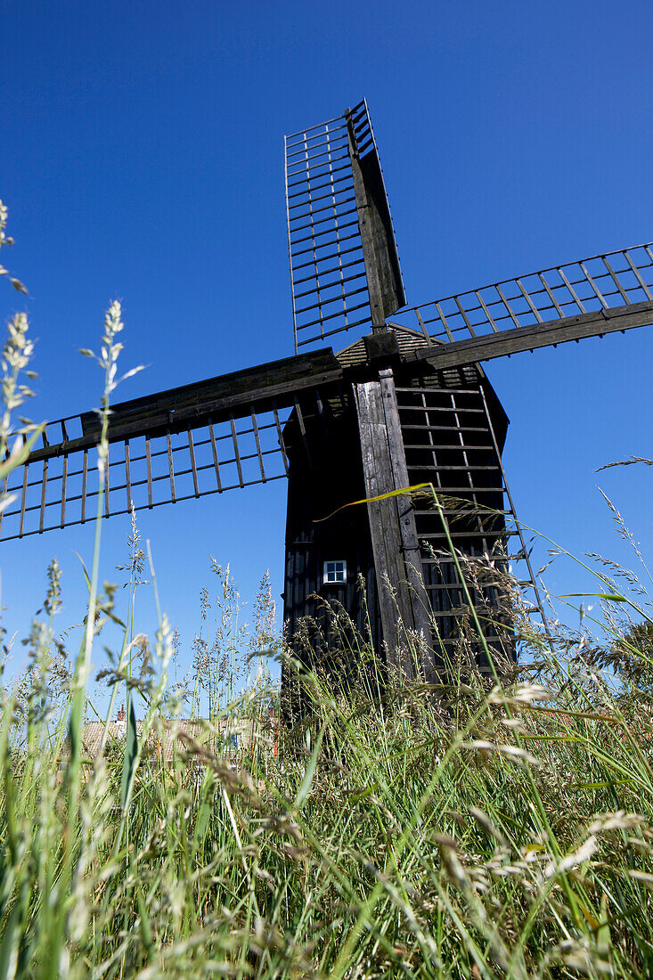 Alte Windmühle in der Wiese, Skanör, Schonen, Südschweden, Schweden