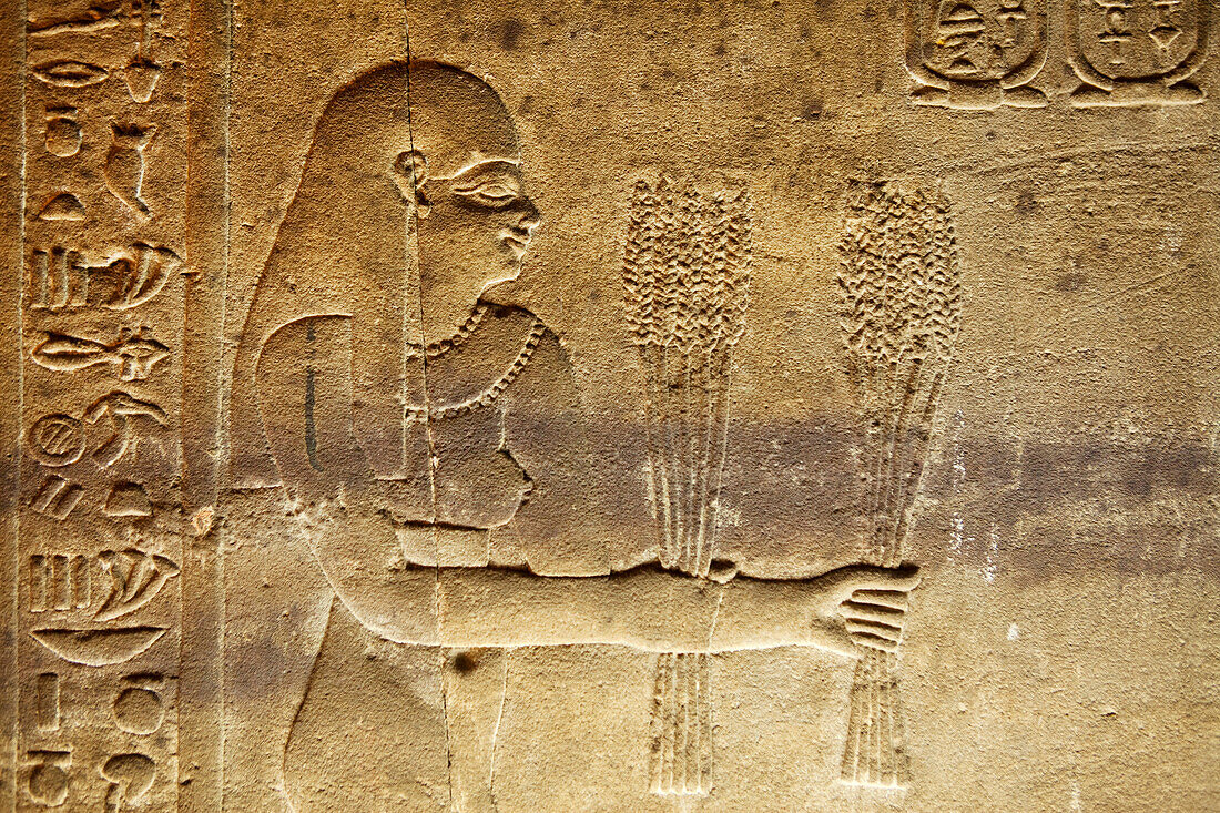 Relief of an offering in the temple of Horus, Temple of Edfu, Edfu, Egypt, Africa