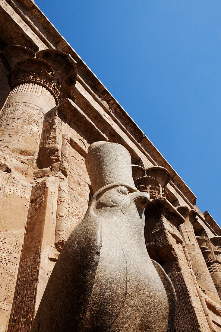 Horusstatue im großen Kolonnadenhof des Horustempel, Edfu, Ägypten, Afrika