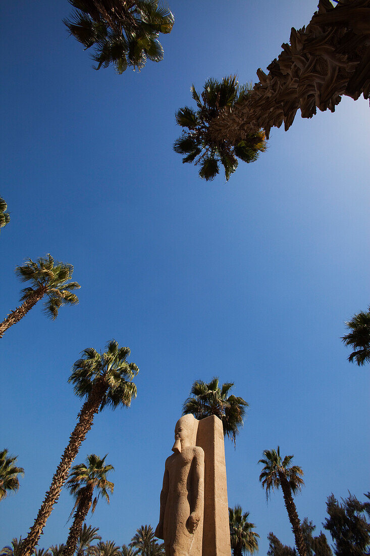 Statue of Ramesses II, Memphis, Egypt, Africa