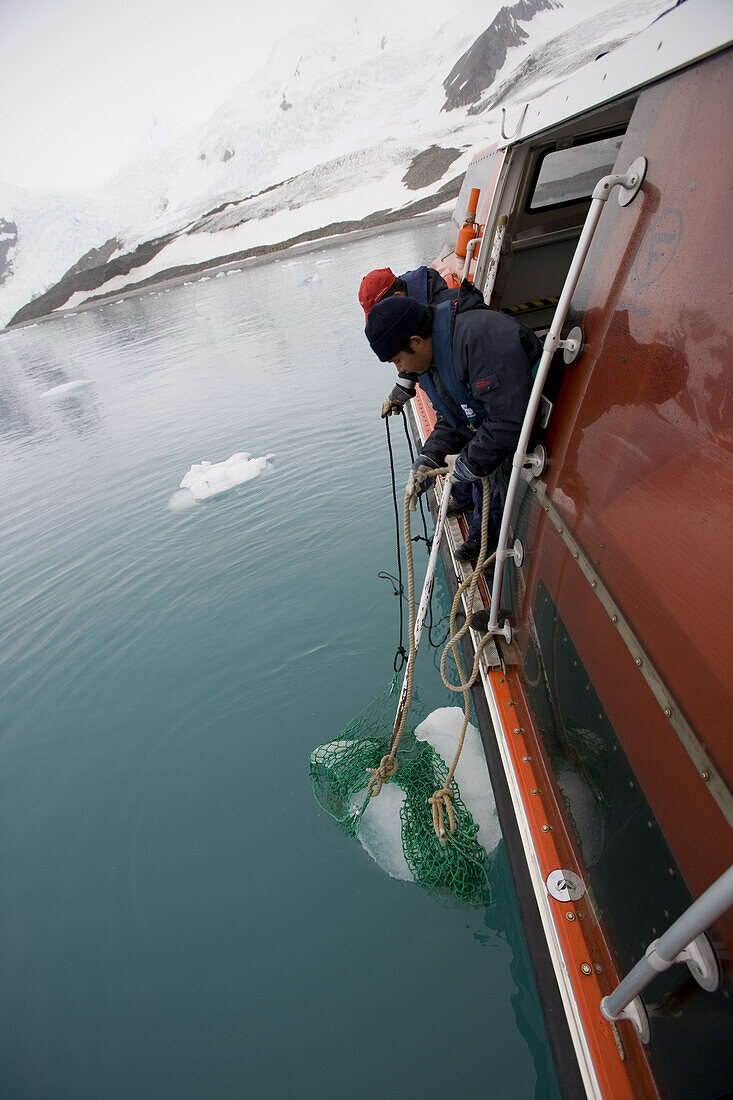 Matrosen holen frisches Gletschereis für Cocktails auf Tenderboot vom Kreuzfahrtschiff MS Deutschland (Reederei Deilmann), False Bay, Livingstone Island, Südliche Shetlandinseln, Antarktis