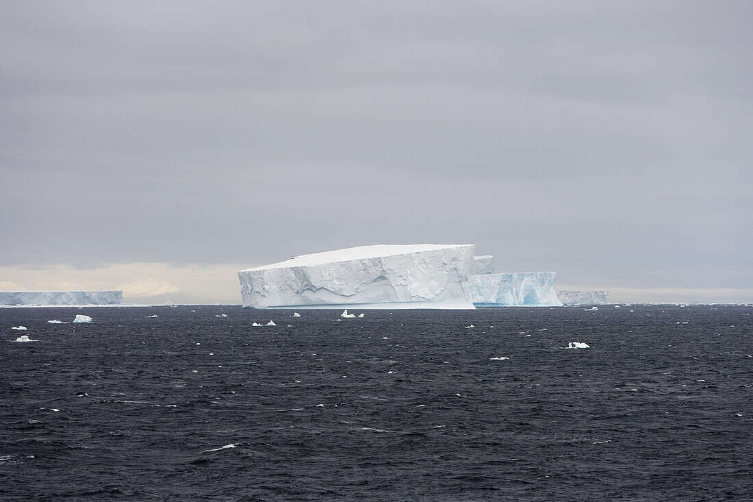 Antarctic icebergs under clouded sky, South Shetland Islands, Antarctica