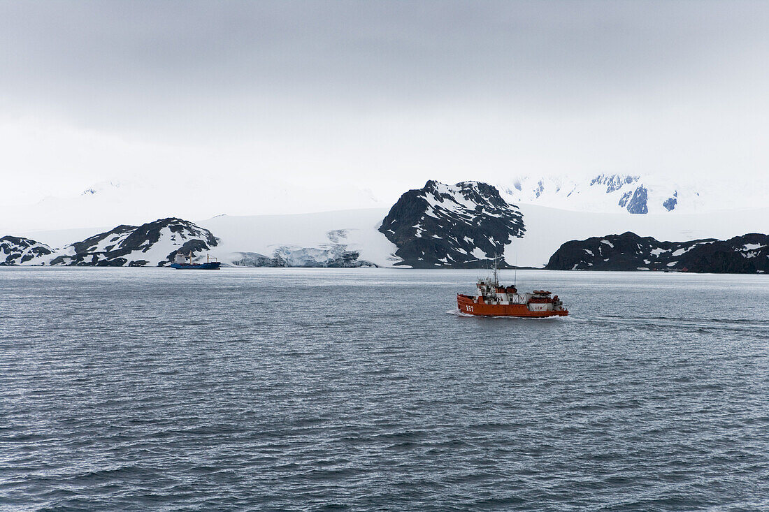 Expeditionsboot und Gletscher unter Wolkenhimmel, False Bay, Livingstone Island, Südliche Shetlandinseln, Antarktis