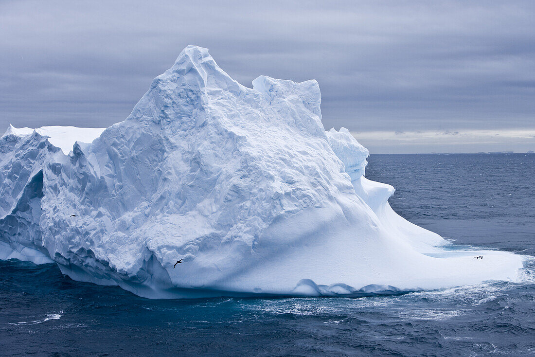 Antarctic iceberg with penguins under clouded sky, South Shetland Islands, Antarctica