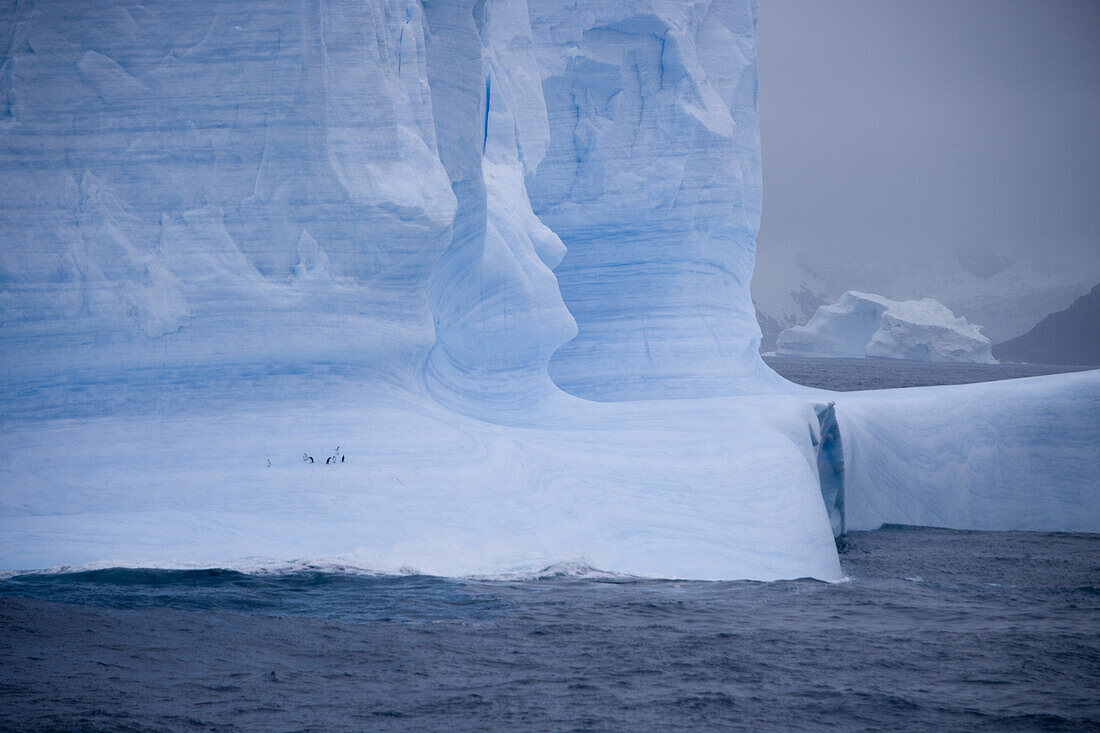 Blauer antarktischer Eisberg, Südliche Shetlandinseln, Antarktis