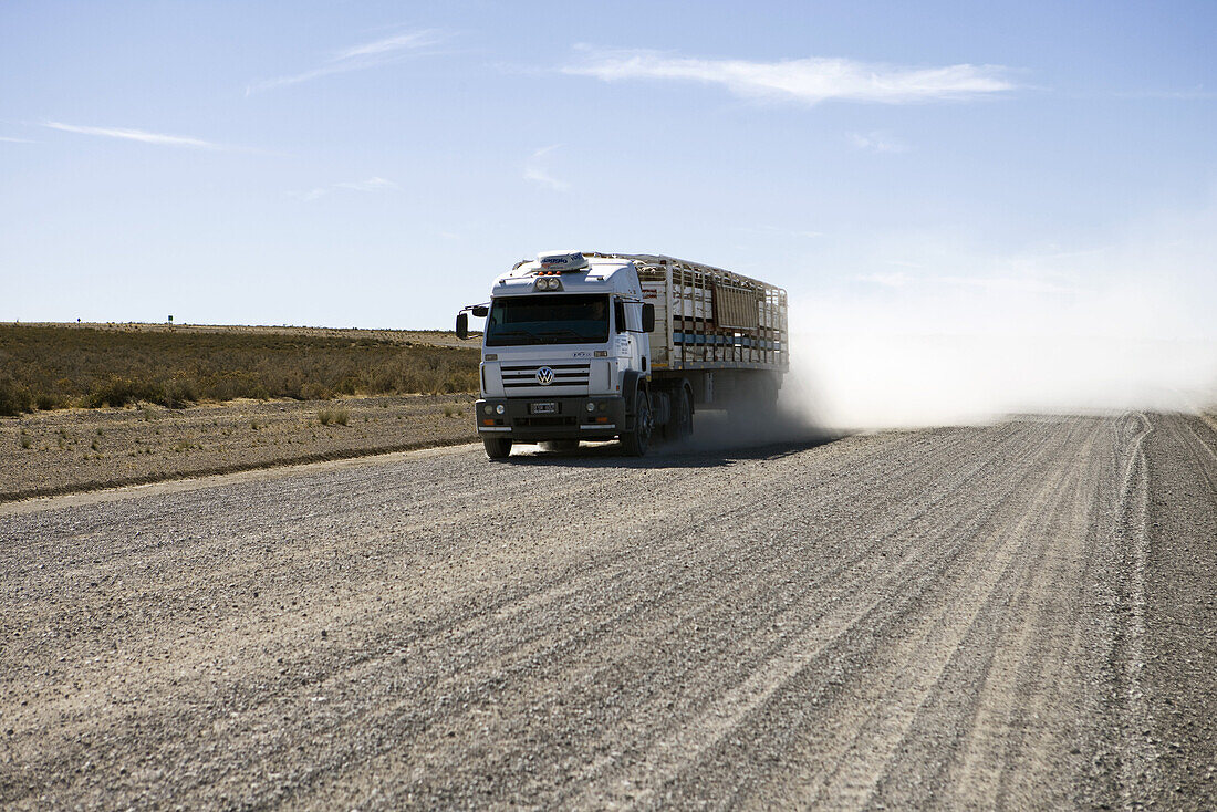 Lastwagen rast über staubige Piste in der argentinischen Pampa, Peninsula Valdes Nationalpark, Valdes Halbinsel, Patagonien, Argentinien, Südamerika, Amerika