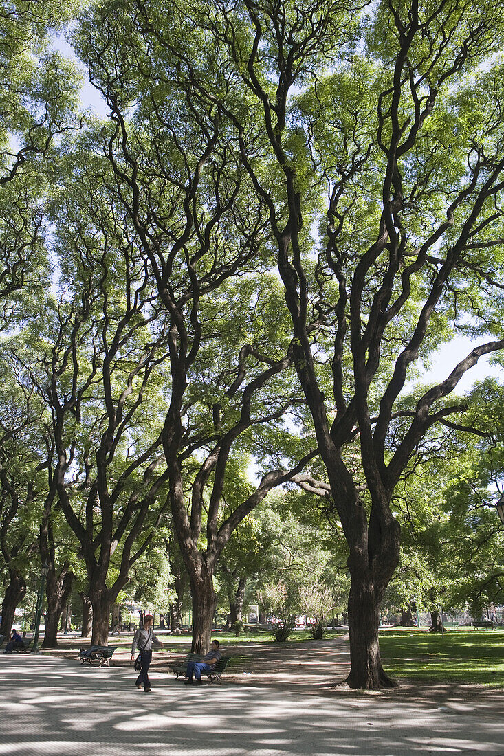 People under trees in the park at Plaza Libertador General San Martin, Buenos Aires, Argentina, South America, America