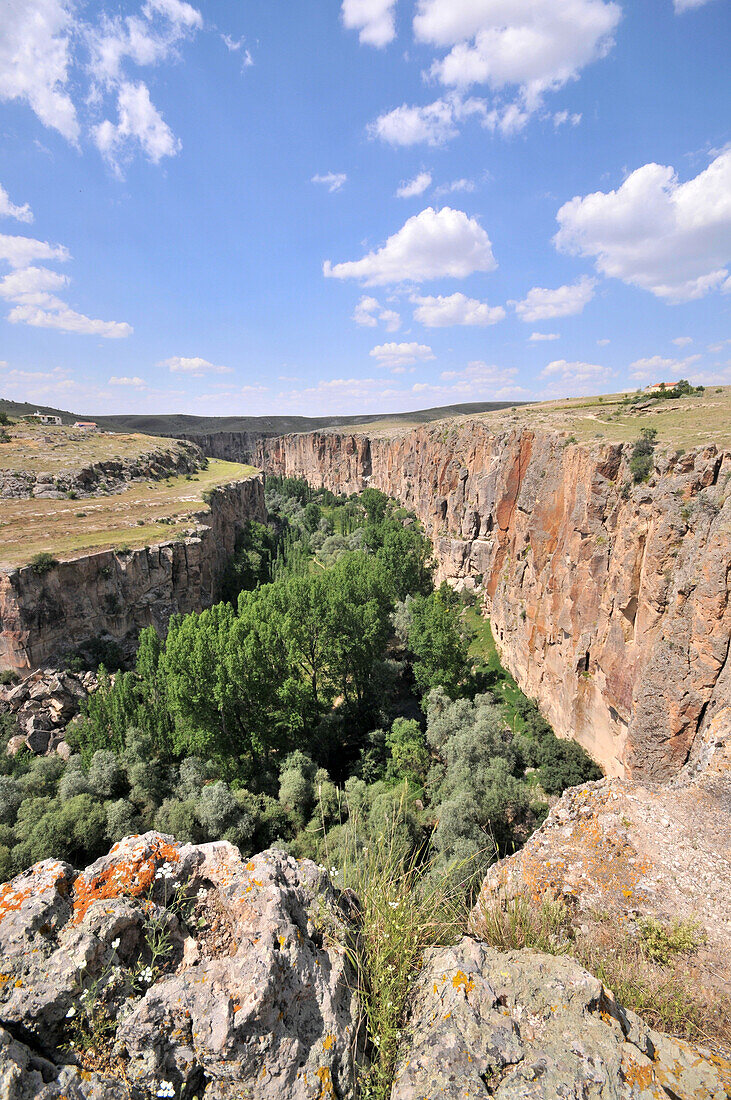 Blick über die Peristrema-Schlucht bei Ihlara, Kappadokien, Anatolien, Türkei