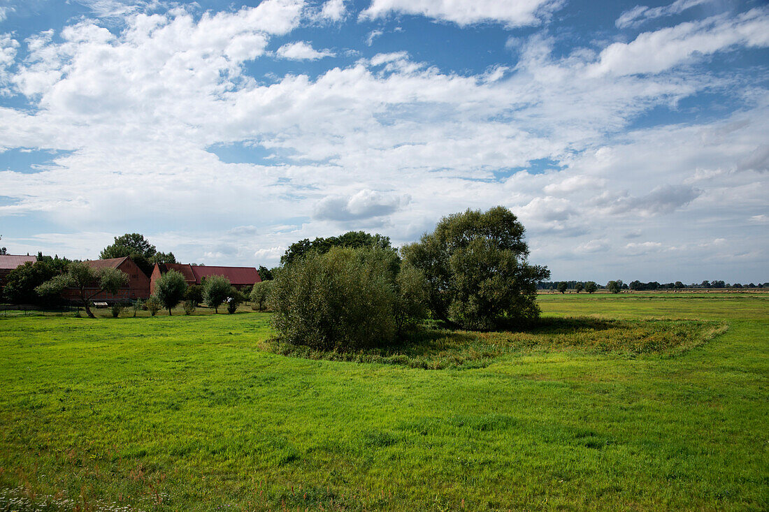 Baelow, Elbetal National Park, Prignitz, Land Brandenburg, Germany