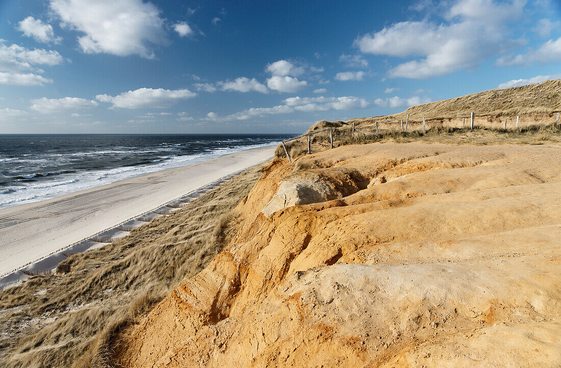 Nature Reserve Dune Countryside on Red Cliff in Kampen, Sylt, Schleswig-Holstein, Germany