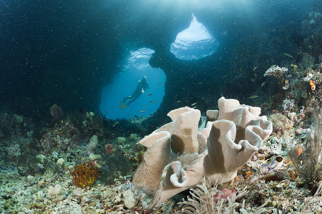 Taucher in Grotte, Raja Ampat, West Papua, Indonesien