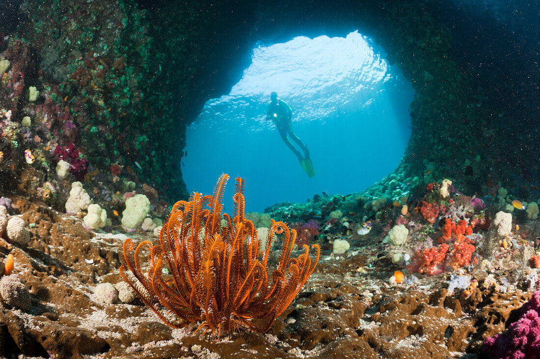 Scuba Diver in Grotto, Raja Ampat, West Papua, Indonesia