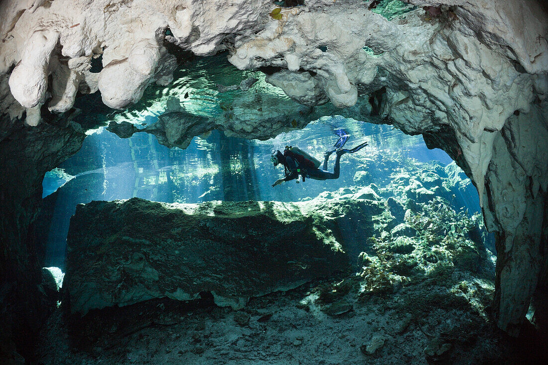 Taucher in Gran Cenote, Tulum, Yucatan Halbinsel, Mexiko