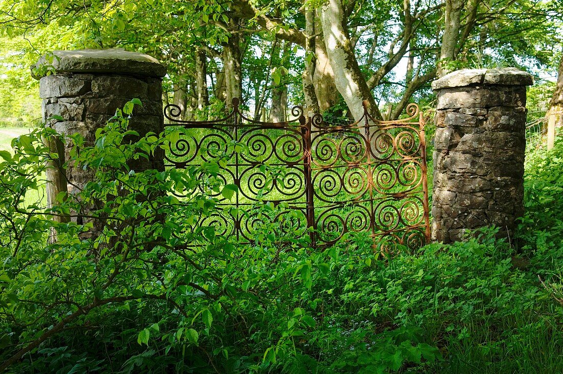 Old wrought iron estate gates at Ballylough House, near Bushmills, County Antrim, Northern Ireland