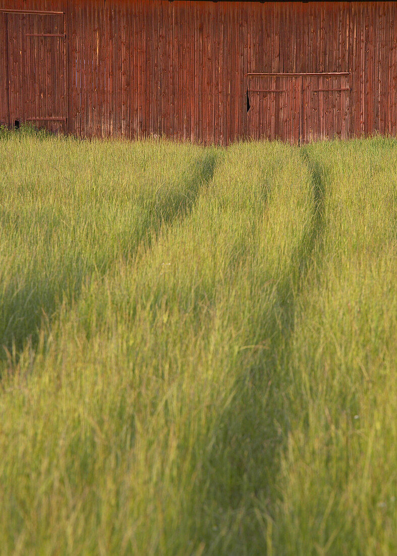 Barn gates, wheel prints in field