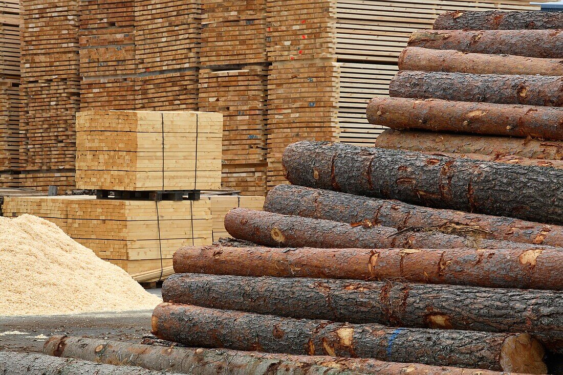 Piles of wood in front of the OSB pallets, production of wood