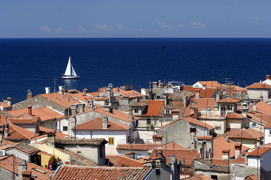 Blick über Dächer auf blaues Meer mit Segeboot, Piran, Slowenien, Europa