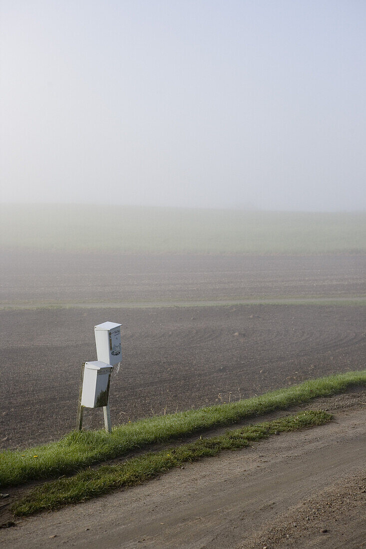 Mailboxes in front of a foggy field