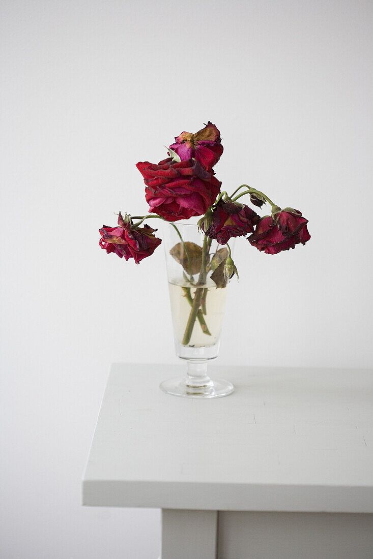 Ein Blumenstrauß mit verwelkter Rosen in der Vase auf einem weißen Tisch