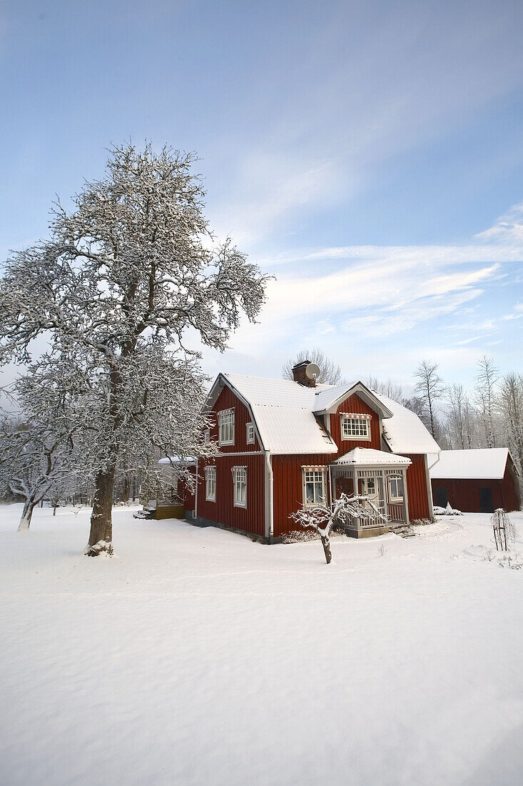 House in snow