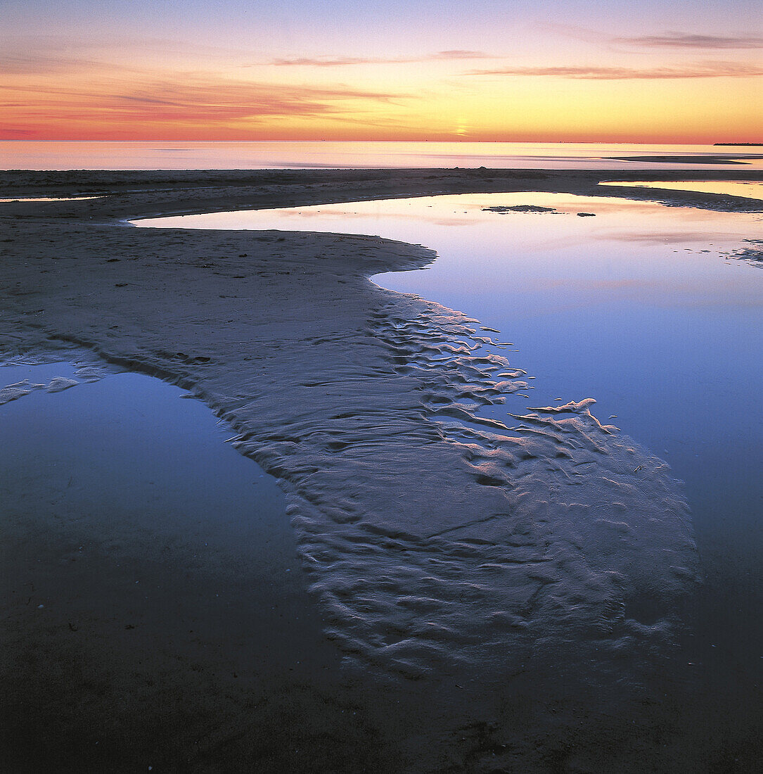 Sunset at sandy beach, Falsterbo, Skane, Sweden