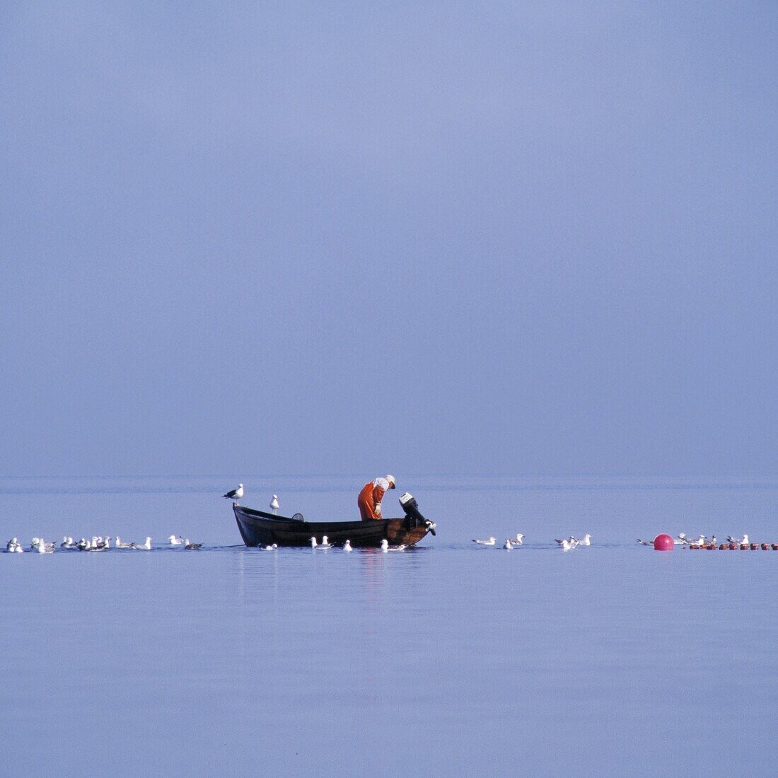 Fisherman in rowing-boat