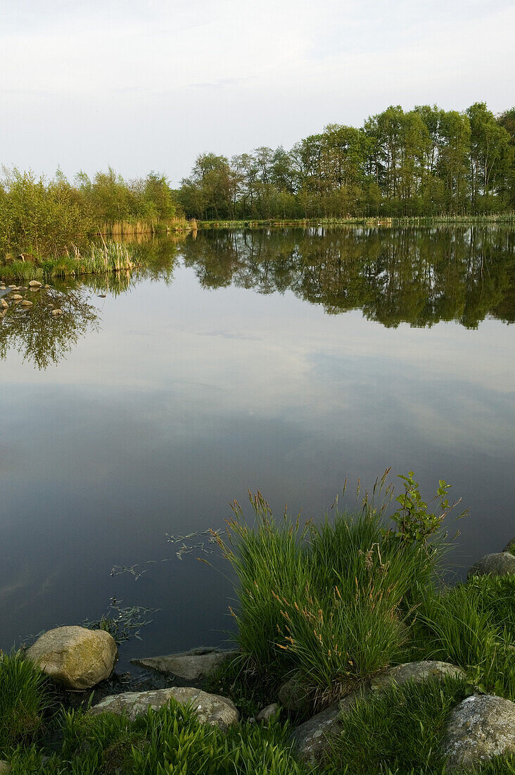 Nature reserve, Abullahagen, Eslöv, Skåne, Sweden