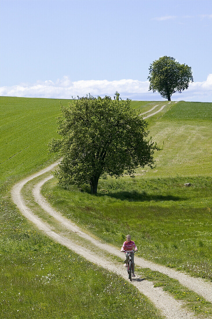 Girl on her bike on ha gravel road and trees on the field