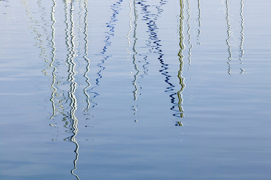 Reflections of masts in the water